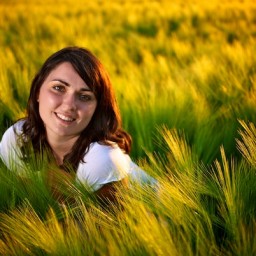 Skrivalnice v žitnem polju (©2010 Peter Prevec)